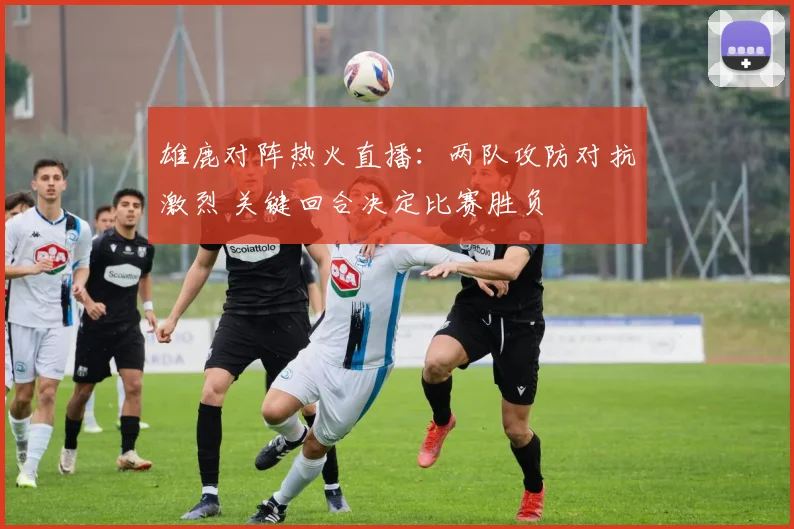 雄鹿对阵热火直播：两队攻防对抗激烈 关键回合决定比赛胜负
