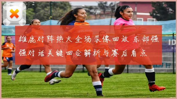雄鹿对阵热火全场录像回放 东部强强对话关键回合解析与赛后看点