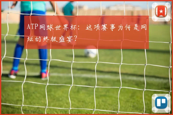 ATP网球世界杯：这项赛事为何是网坛的终极盛宴？