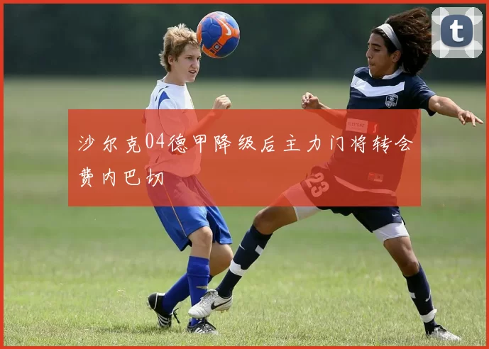 沙尔克04德甲降级后主力门将转会费内巴切