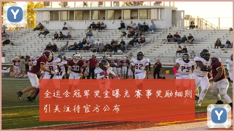 全运会冠军奖金曝光 赛事奖励细则引关注待官方公布