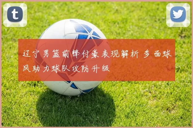 辽宁男篮前锋付豪表现解析 多面球风助力球队攻防升级