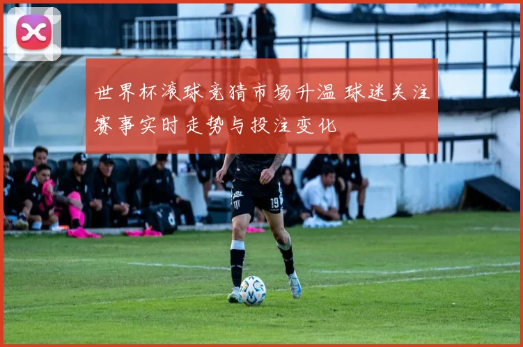 世界杯滚球竞猜市场升温 球迷关注赛事实时走势与投注变化